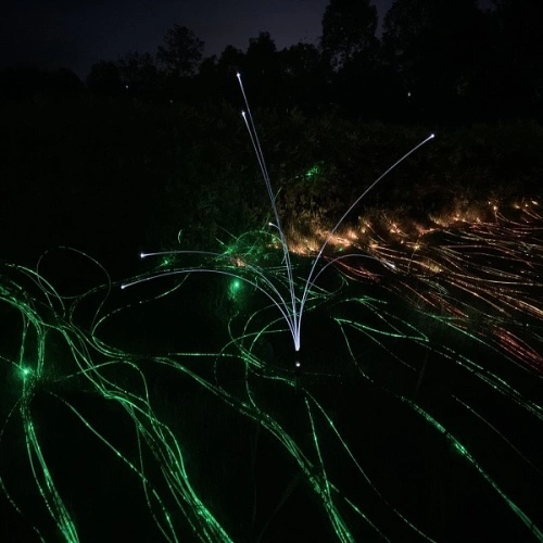 Reeds Light Fiber Optic Firefly Lighting Factory