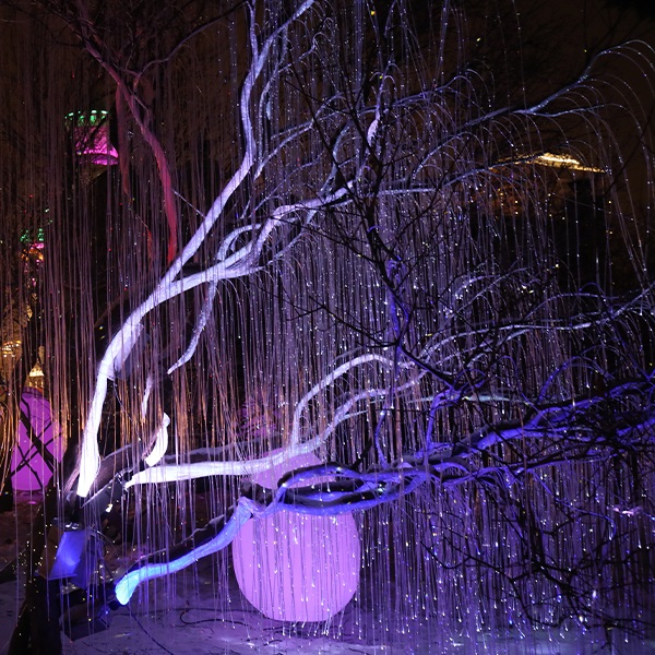 fiber optic lights fiber optic lights