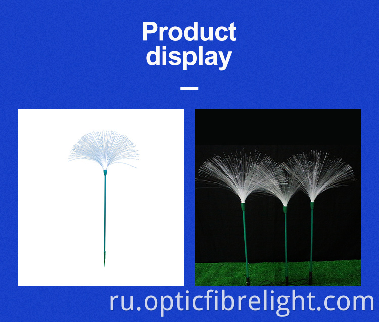 Тростники свет Reeds Light