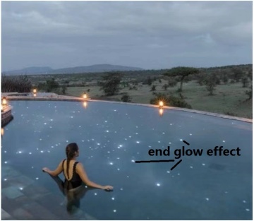 Can fiber optic lights get wet?