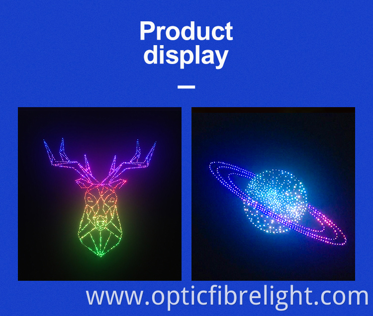 Fiber Optic Picture Fiber Optic Picture