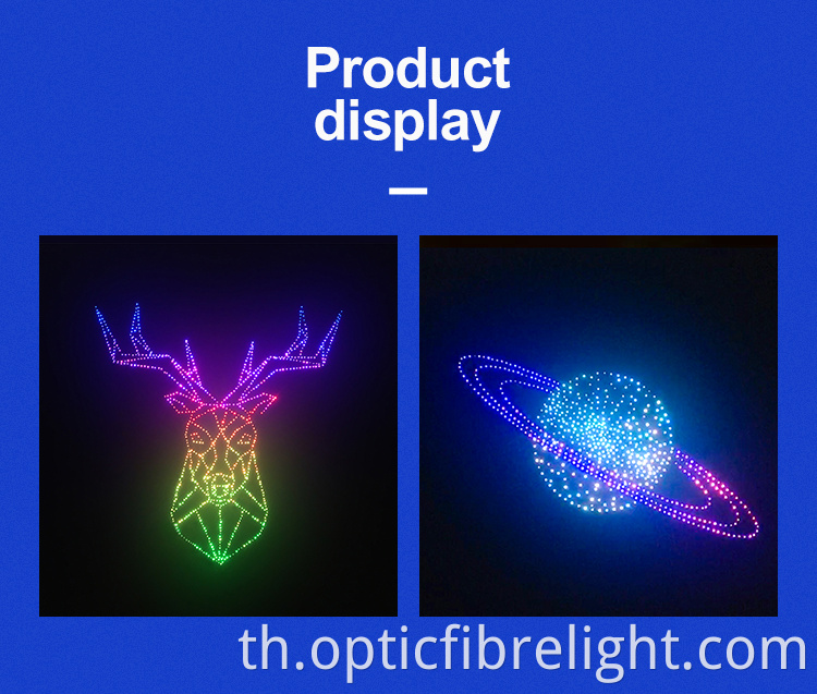 ภาพใยแก้วนำแสง Fiber Optic Picture