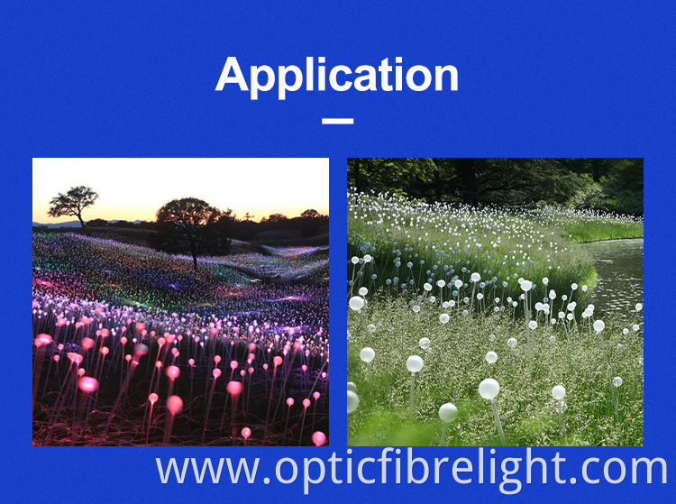 Fiber Optic Ball Light Fiber Optic Ball Light