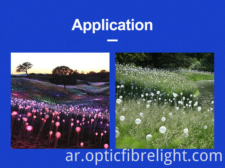 ضوء الكرة الألياف البصرية Fiber Optic Ball Light