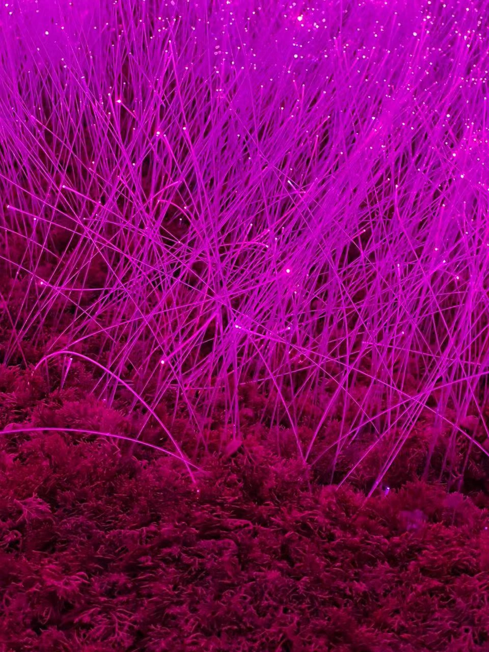 fiber optic grass lights