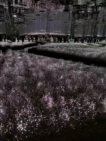 LED Fiber Optic Lights for Landscape Decoration Lighting