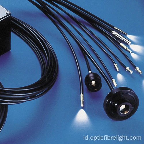 Led fiber optic Light Museum display lighting
