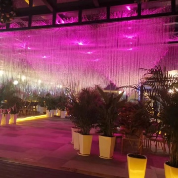 Chinese Lunar New Year Holiday